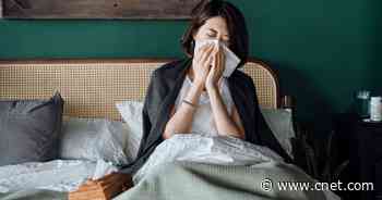 Allergies Acting Up? Your Bedding May Be to Blame     - CNET