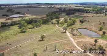 Outstanding cattle growing and fattening property