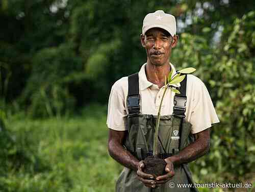 Iberostar vergibt Nachhaltigkeits-Award mit Preisgeld