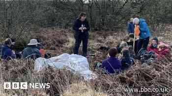 Scything used to improve wildlife habitat in Cornwall