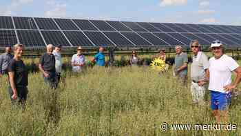 Solarfeld und Acker in einem: Weitere Doppel-Anlage geplant