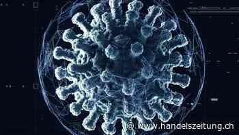 Einer Permakrise entgegenwirken