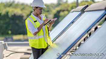 Die Portfolios checken