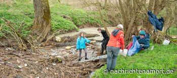 50 Gruppen haben den Main von Müll befreit