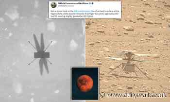 Perseverance snaps image of NASA's 'little dustier' Mars helicopter two years after its first flight
