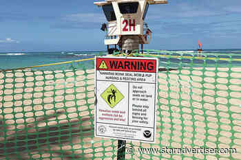Beachgoers urged to give space to monk seal Kaiwi and her pup