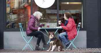 Doggie days? Outdoor dining in Kane County may allow for furry friends this summer