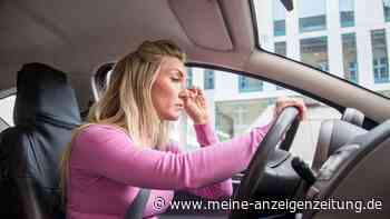Pollenfilter im Auto regelmäßig austauschen