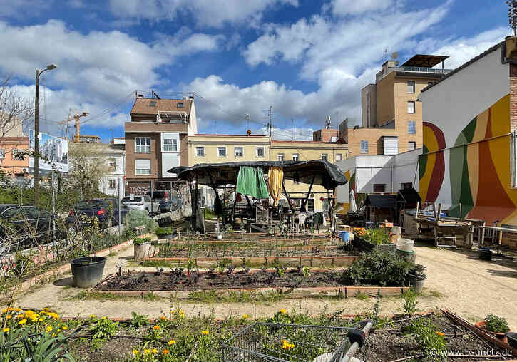 Morgengrauen und Schäferschule
 - Symposium zu Urban Gardening in Berlin