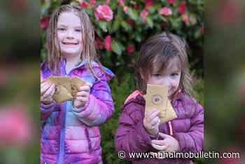 ‘Fairy seeds’ for sale in Nanaimo on Earth Day