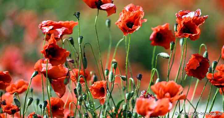 Frühlingshafter Samstag mit Sonne und bis zu 23 Grad