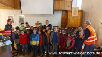 Bautage in Rohrdorf: Eine Stadt aus tausenden kleinen Lego-Steinen