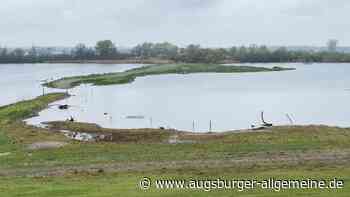 Vogelgrippe am Plessenteich: Behörden kündigen Aufstallungspflicht an