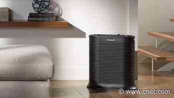 One Small Change to Improve Allergy Symptoms: Move Your Air Purifier     - CNET