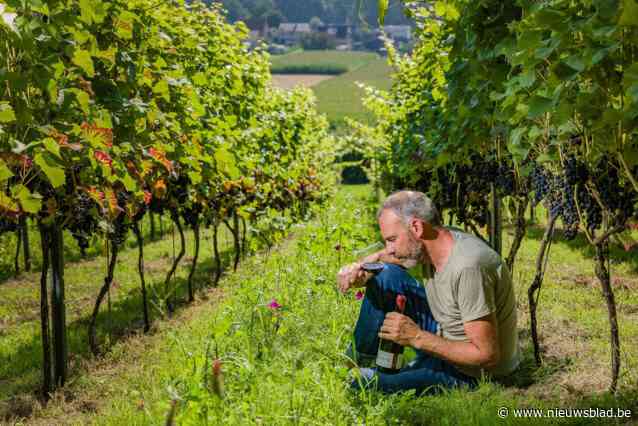 De Croo, Macron, Scholz en co drinken Antwerpse wijn op Europese top in Oostende: “Een erg fijne erkenning”
