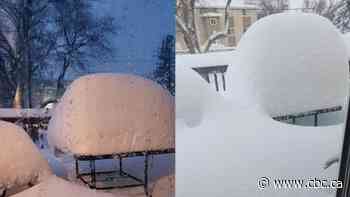 Snow to stop in southeast Sask. by Friday, but expect slow melt