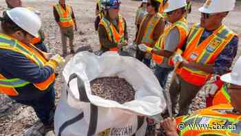 N.W.T. rare earth mine owner halts construction of Saskatoon processing plant citing depressed market