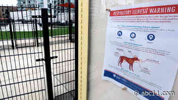 NC veterinarians warn of outbreak in dog flu cases in Durham, Moore counties