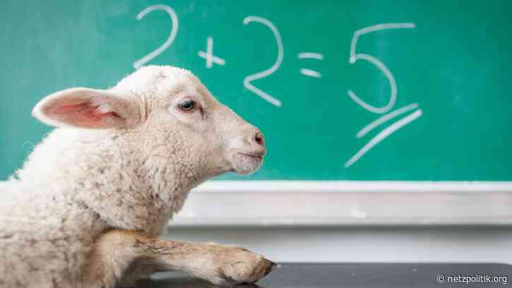 Falsche Behauptungen: So unseriös machen einige Kinderrechtsorganisationen für die Chatkontrolle mobil