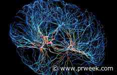 Brownstein Group rolls out Bern-E AI tool