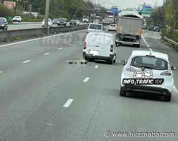 Sur l'autoroute A6, un homme traîne un cadavre de chevreuil accroché à sa voiture avant d'être arrêté par la police