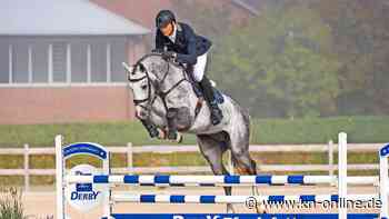1. Mai in Elmshorn: Bühne frei für die jungen Holsteiner Verbandshengste