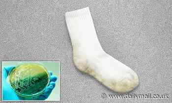 Socks can be dirtier than a DOORMAT, study finds