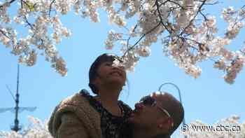 What to do this Earth Day weekend in Hamilton, from bloom watch to book launches