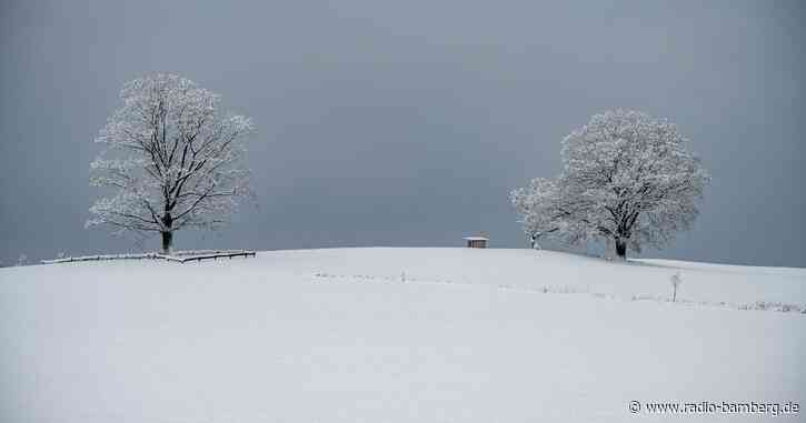 Weitere Bärenspuren in Oberbayern im Schnee entdeckt