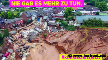 Klimakampagne: Wie Campact der FDP zu deren Parteitag den Spiegel vorhält