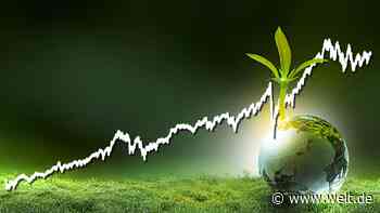 Mit der Dreifonds-Strategie zum grünen Sparplan fürs Leben