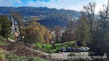Stadtgarten Calw: Jetzt steht fest, was alles  gemacht wird