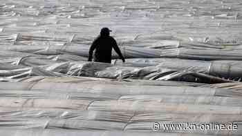 Saisonarbeiter: Deutschland muss für bessere Bedingungen sorgen