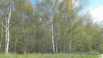 Nach Leichenfund: Der Schock in Bahrdorf ist groß