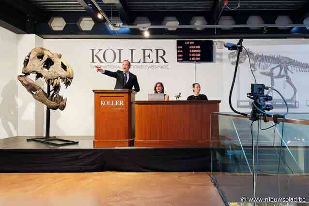 Dit is Trinity, het nieuwe huisdier van de Boerentoren: “Mensen zullen er speciaal voor naar Antwerpen komen”