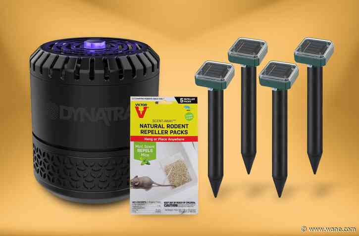 Quiet gadgets that’ll solve your indoor pest problems