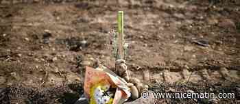 Des enfants harkis enterrés à la va-vite auront enfin leur cimetière dans le Gard