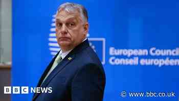 Ukraine in Nato: Orban casts doubt on long-term membership plan
