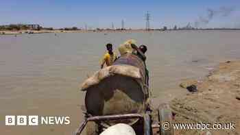 Sudan conflict: 'I'm drinking water from the River Nile'