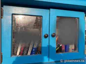 Vandals target front lawn library with white supremacy graffiti in Calgary