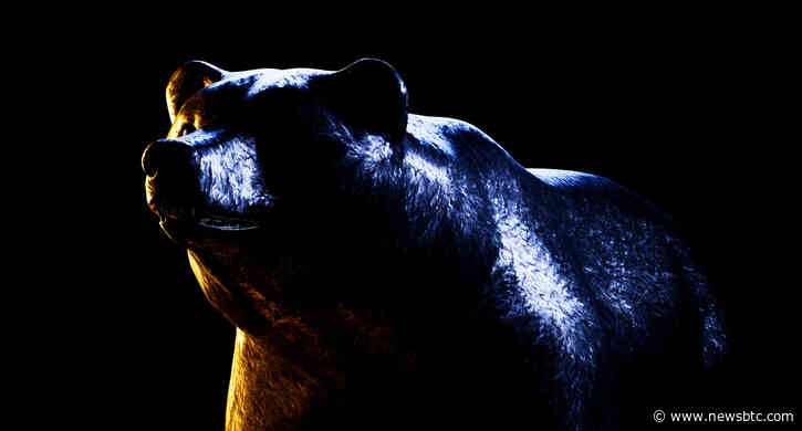 Tornado Cash Suffers 13% Bear Hit, Will Parole Save Price?