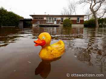 Ottawa River expected to "stabilize" this weekend, but homeowners fear rain