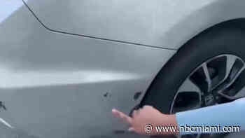 Actions of Gunman, Instacart Delivery Driver Justified in Davie Shooting Incident: Police