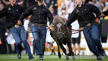 What to know for CU's Black and Gold Day