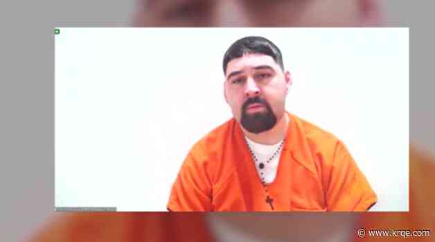 Serial metro shoplifter pleads guilty, now awaits sentencing