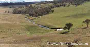 Productive livestock properties head to auction | Videos
