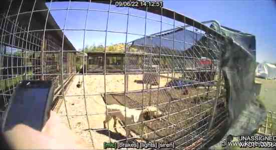 Charges dropped against T or C mayor's husband in animal cruelty case