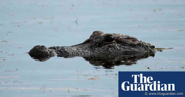 Family of US woman killed by alligator sues over community’s water features