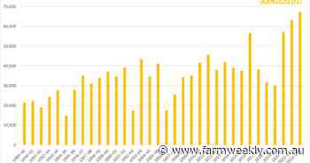 Structural shift in Australian markets