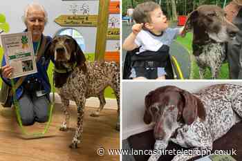 Shuna the therapy dog celebrates five years at Chorley's Derian House